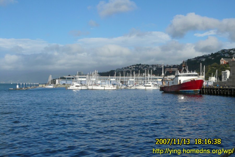 Oriental Bay