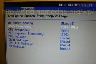 P5KPL-E 主機板 BIOS 超頻選項